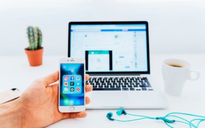 whatsapp business api